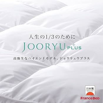 【フランスベッド】高級羽毛布団クイーンサイズ　JOORYU Amazon｜【フランスベッド正規品】 羽毛布団 グレー(柄